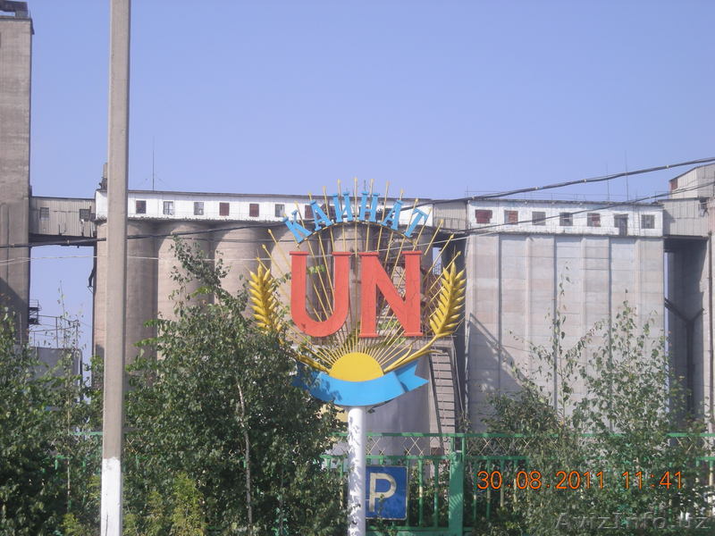 реализуем муку, отруби - Изображение #1, Объявление #937961