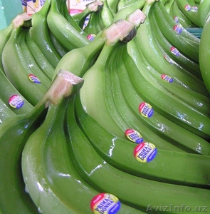 Бананы зелёные оптом - Изображение #1, Объявление #332951