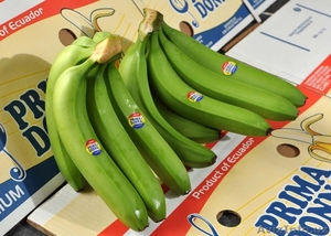 Бананы зелёные оптом - Изображение #2, Объявление #332951