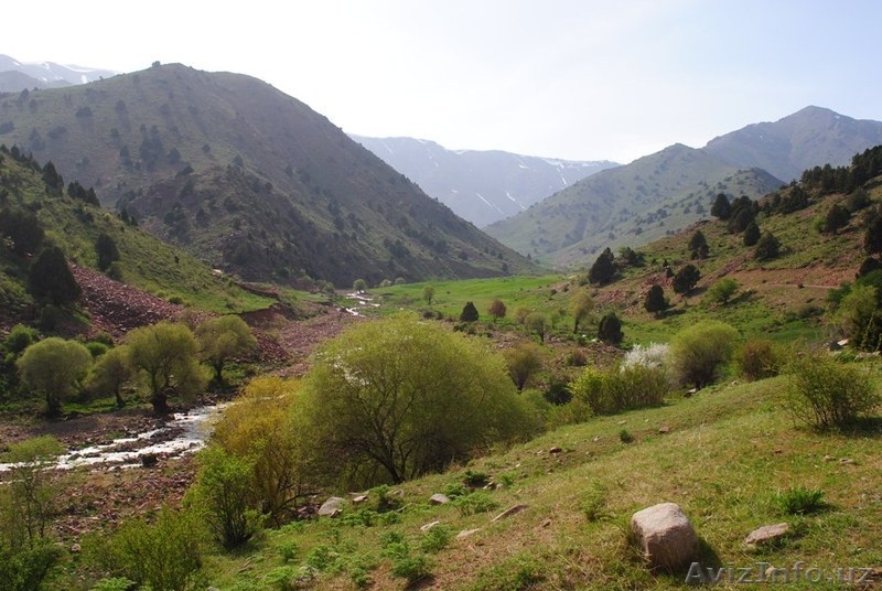 Гид по Ферганской Долине, гид по Фергане - Изображение #3, Объявление #256804