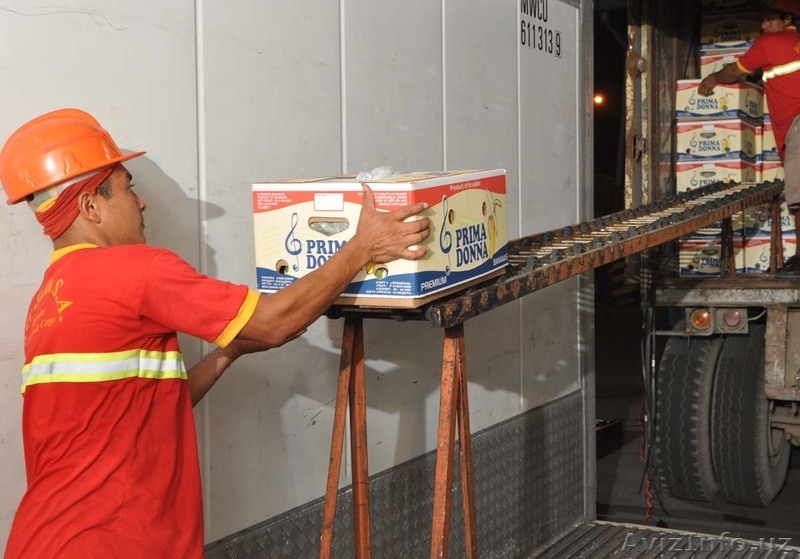 Бананы зелёные оптом - Изображение #3, Объявление #332951