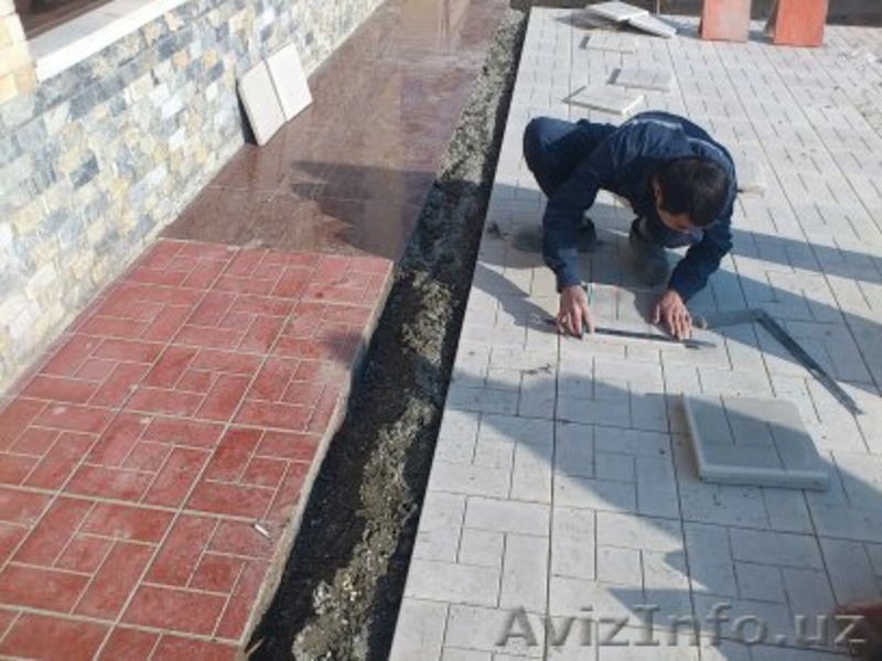 Фергана алиса Директор С,А - Изображение #1, Объявление #799268