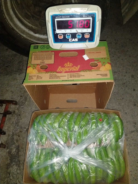 Бананы 23  -  22 кг оптом - Изображение #1, Объявление #1686915